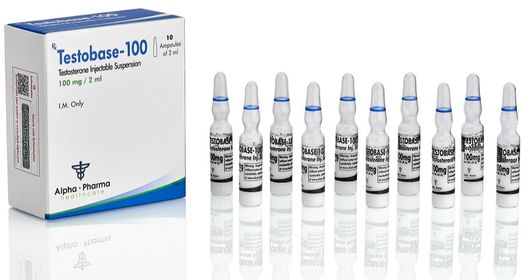 Testocyp (Cipionato 250mg/10ml) Alpha Pharma