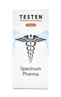 Testen (Enantato 300mg/10ml)