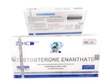 Testosterone Enanthate (250mg/10ml) ZPHC